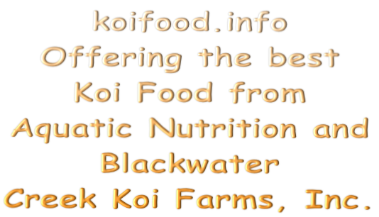 koifood.info Offering the best  Koi Food from  Aquatic Nutrition and  Blackwater  Creek Koi Farms, Inc.